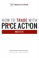 PA MASTER @tradingpdfgratis.pdf